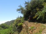 DSCN1133.jpg