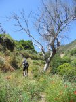 DSCN1128.jpg