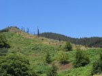 DSCN1139.jpg