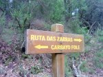 DSC04297.JPG