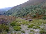 DSC04354.JPG