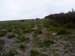DSC04356.JPG