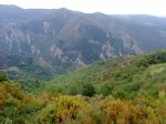 DSC04357.JPG