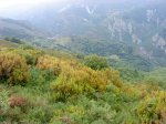 DSC04358.JPG