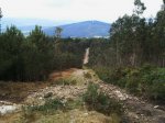 2011-06-13 16_01.18.48.JPG