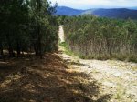 2011-06-13 16_01.22.02.JPG