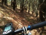 2011-06-13 16_01.23.31.JPG