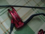 DSC05484.JPG