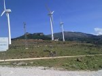 120620111025.jpg