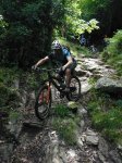 ,luz sant sauveur, junio 2011 068.jpg