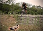 salto3.jpg