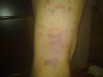 140620111786.jpg