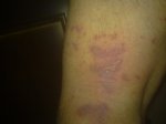 140620111785.jpg