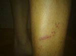 140620111789.jpg