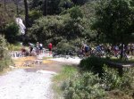 IMG_0469_1.jpg