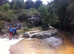 IMG_0471_1.jpg