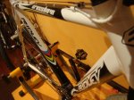 ridley&#168;s 003.jpg