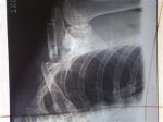 IMG-20110616-00026 (Mobile).jpg