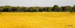 DSCN3061.JPG