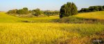 DSCN3063.JPG