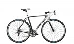 Focus_2011_Izalco_Team_Replica.jpg
