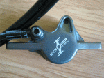 IMG_0040_600_450.gif