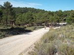 DSCF9709 [rota].JPG