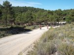 DSCF9705 [rota].JPG