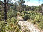 DSCF9714 [rota].JPG