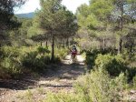 DSCF9733 [rota].JPG
