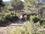 DSCF9726 [rota].JPG