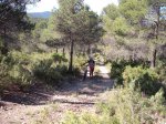 DSCF9735 [rota].JPG