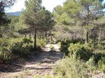 DSCF9724 [rota].JPG