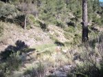 DSCF9739 [rota].JPG
