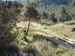 DSCF9736 [rota].JPG