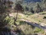 DSCF9747 [rota].JPG