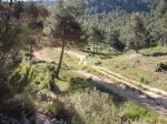 DSCF9751 [rota].JPG