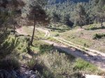 DSCF9740 [rota].JPG