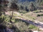 DSCF9748 [rota].JPG