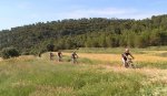 Castrus (8).jpg