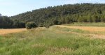 Castrus (10).jpg