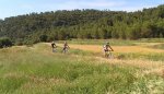 Castrus (11).jpg