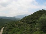 IMG_8823.JPG