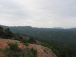 IMG_8815.JPG