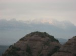 IMG_8817.JPG