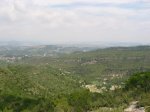 IMG_8853.JPG