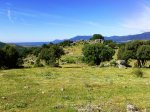 Cercedilla 18-6-11 01.jpg
