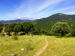 Cercedilla 18-6-11 02.jpg