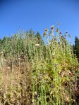 DSCN1164.jpg