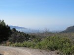 IMG_1335.JPG